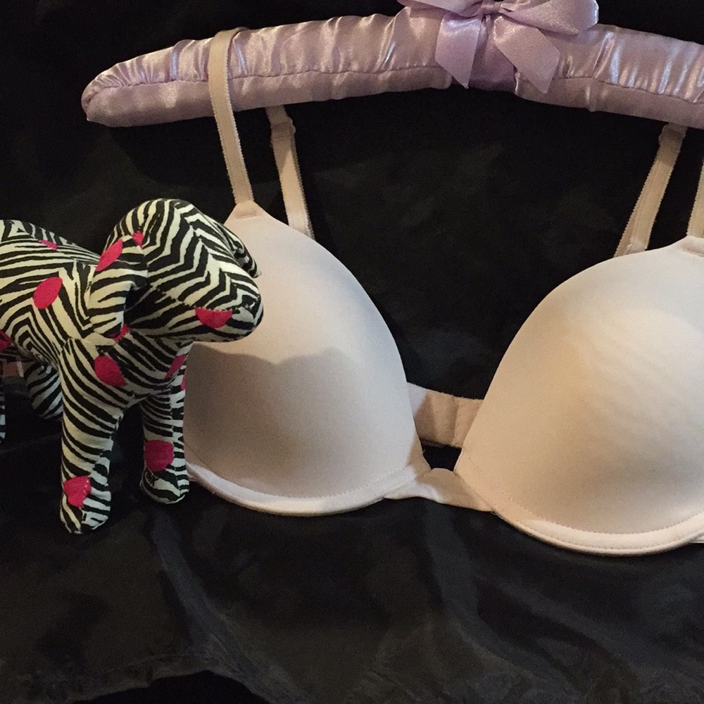 PINK DOG and Bra